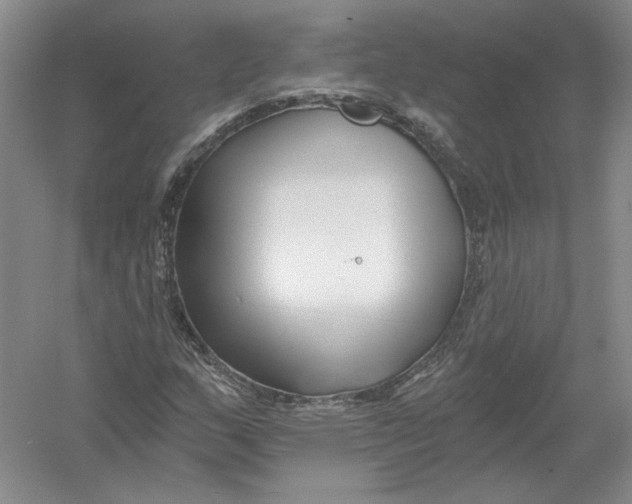 X0000054381159200508270000