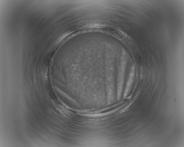 X0000054381161200508270000