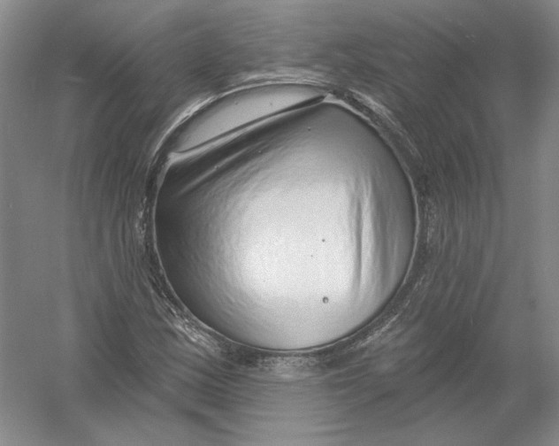 X0000054381163200508270000