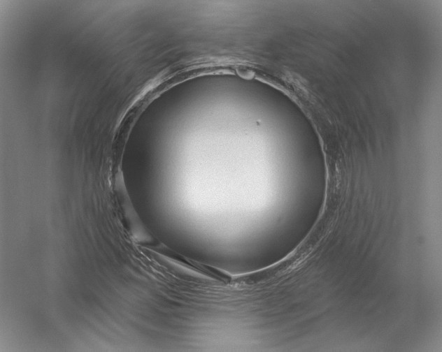 X0000054381165200508270000