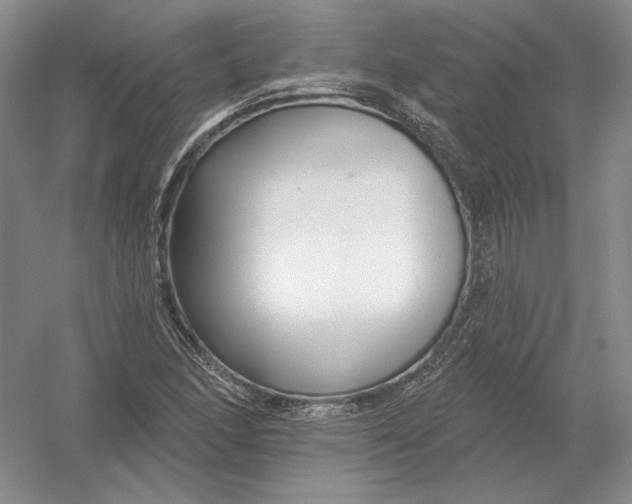 X0000054381166200508270000