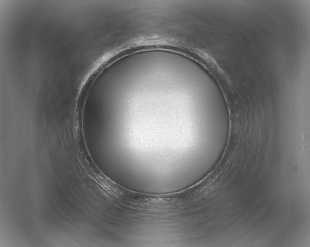 X0000054381167200508270000