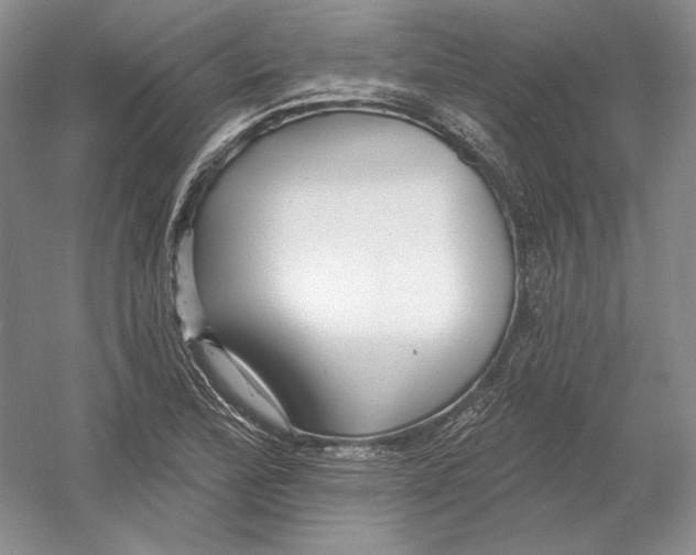 X0000054381172200508270000