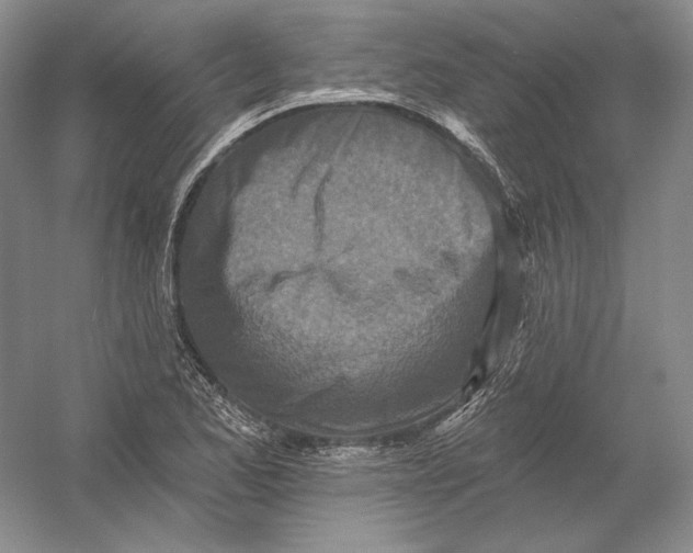 X0000054381173200508262359