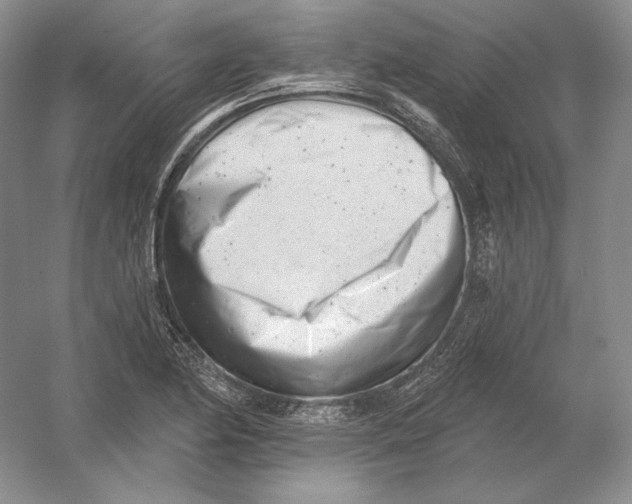 X0000054381174200508262359