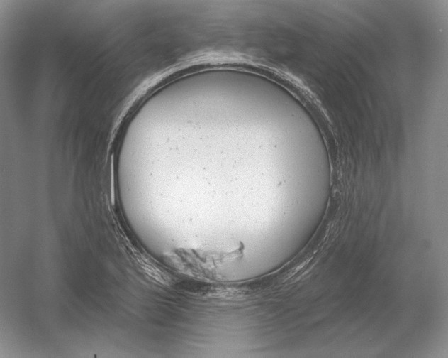 X0000054381175200508262359