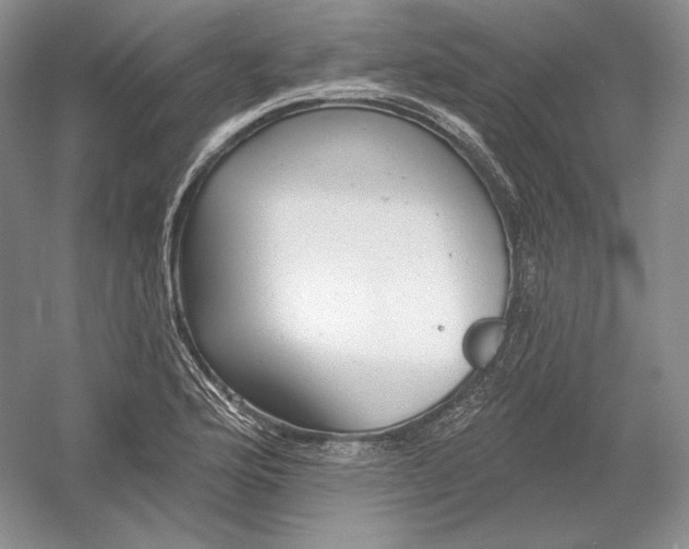 X0000054381176200508262359