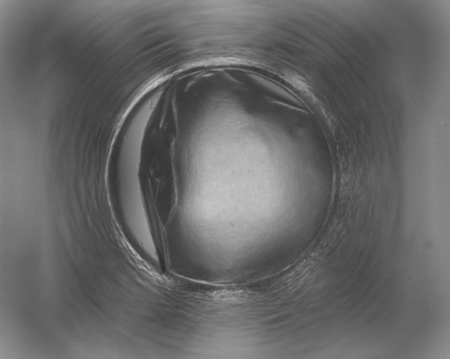 X0000054381181200508262359