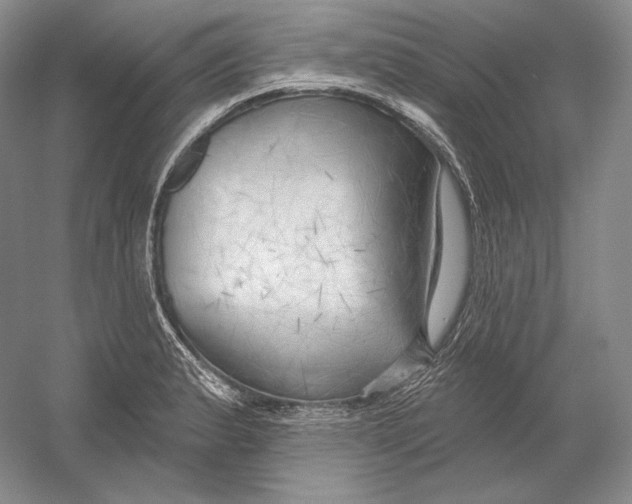 X0000054381183200508262359