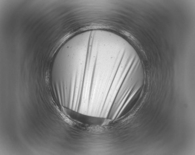 X0000054381185200508262359