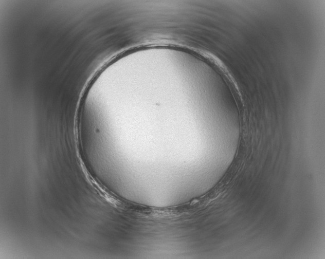 X0000054381191200508262359