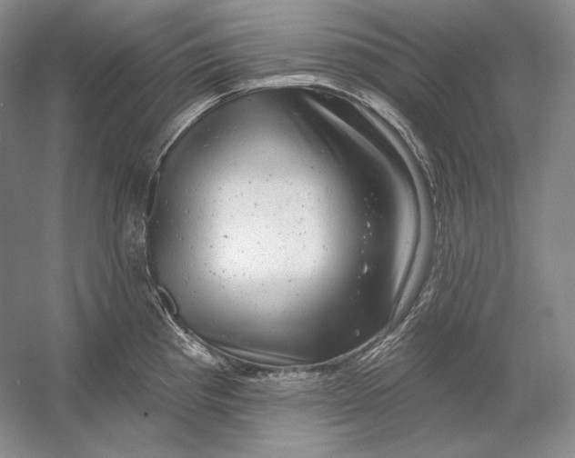 X0000054381193200508262359