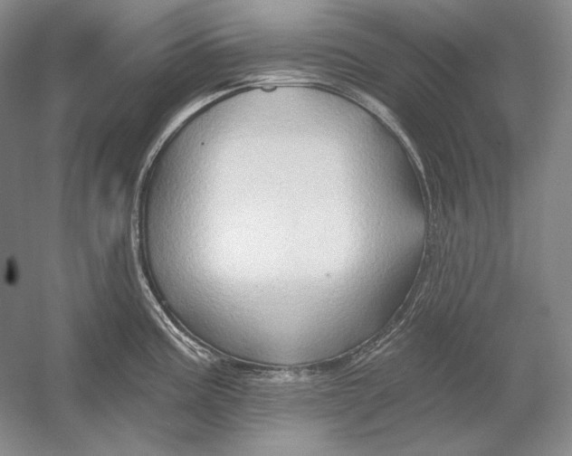 X0000054381195200508262359