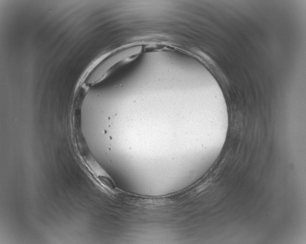 X0000054381196200508262359