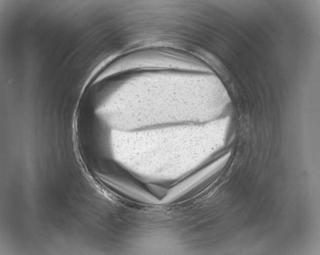 X0000054381198200508262359