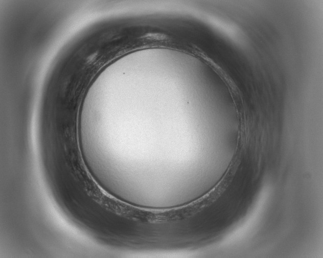 X0000054381199200508262359