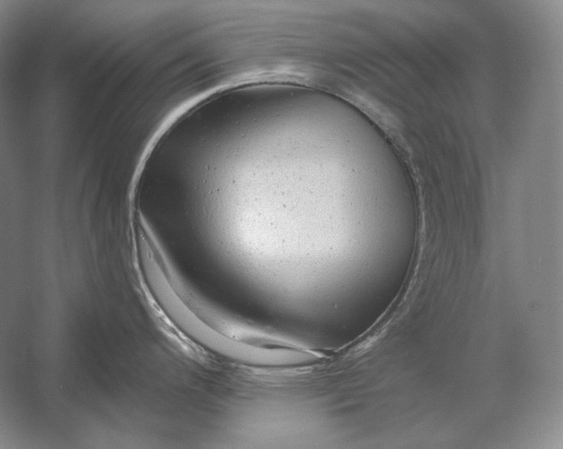 X0000054381200200508262359