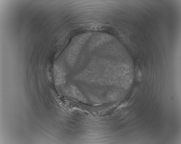 X0000054381202200508262358