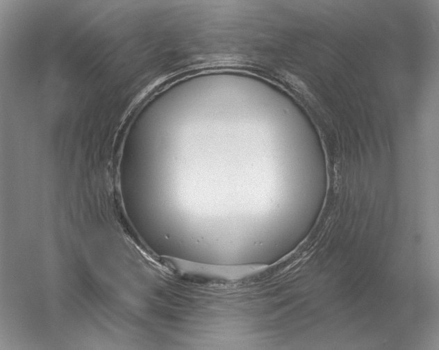 X0000054381212200508262358