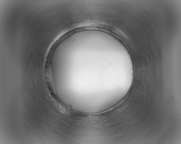 X0000054381216200508262358