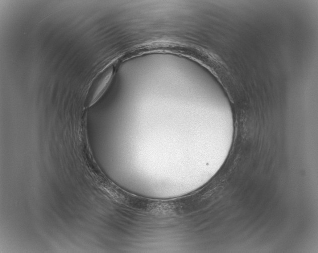 X0000054381217200508262358