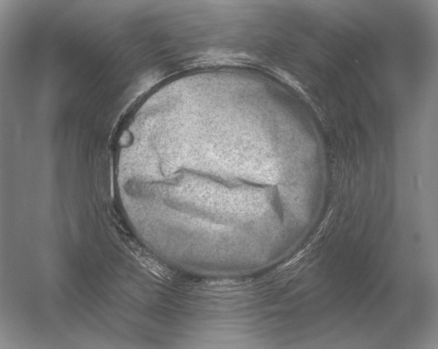 X0000054381219200508262359