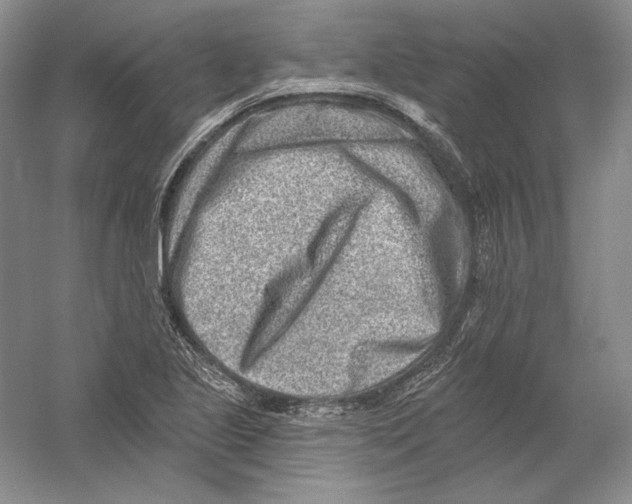 X0000054381221200508262359