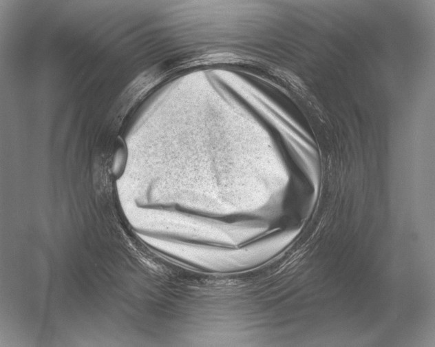 X0000054381225200508262359