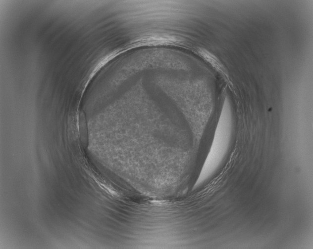 X0000054381226200508262359