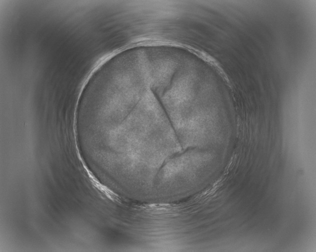 X0000054381231200508262359