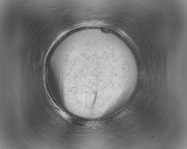 X0000054381232200508262359