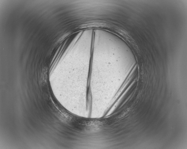 X0000054381233200508262359