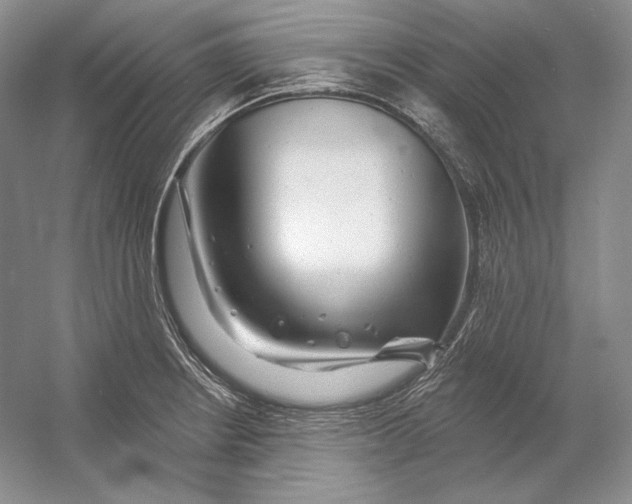 X0000054381234200508262359