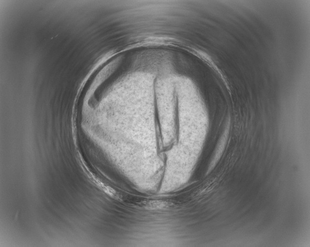 X0000054381235200508262359