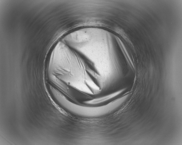 X0000054381237200508262359