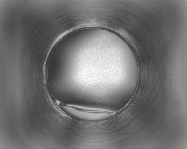 X0000054381238200508262359