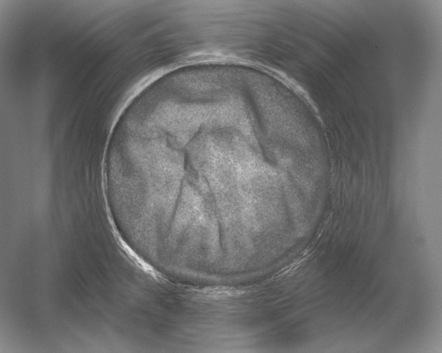 X0000054381239200508262359