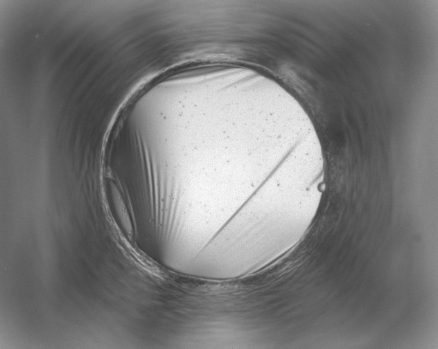 X0000054381240200508262359