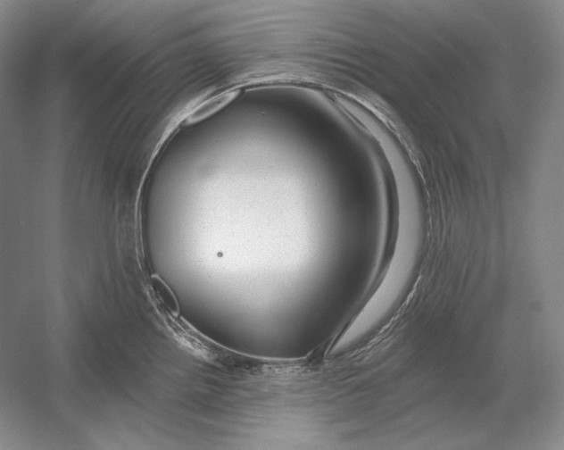 X0000054381242200508262359