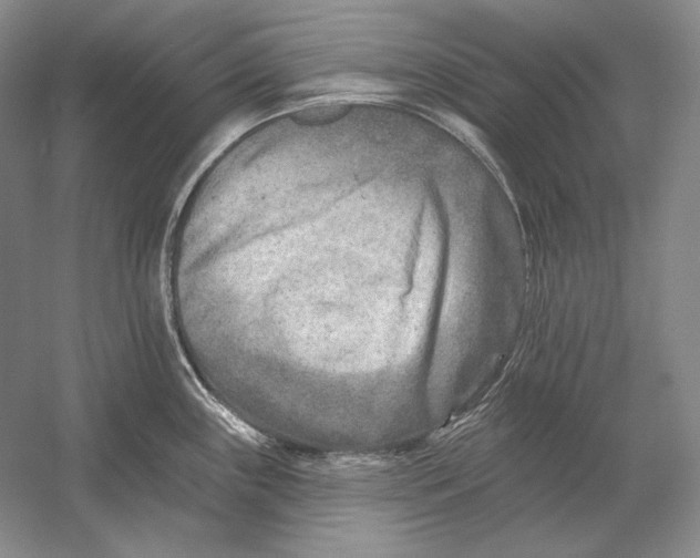 X0000054381243200508262359