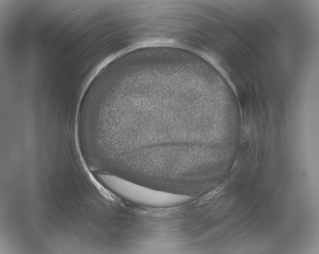 X0000054381245200508262359