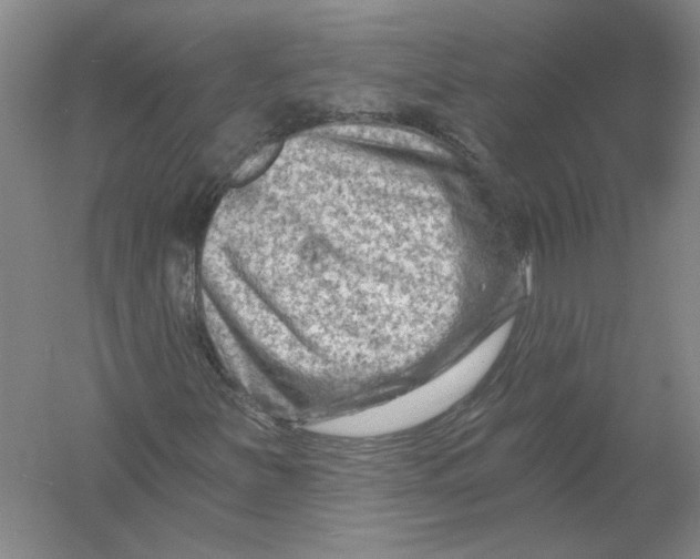 X0000054381251200508262358