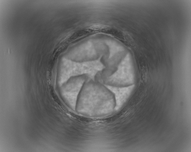 X0000054381253200508262358