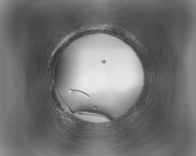 X0000054381256200508262358