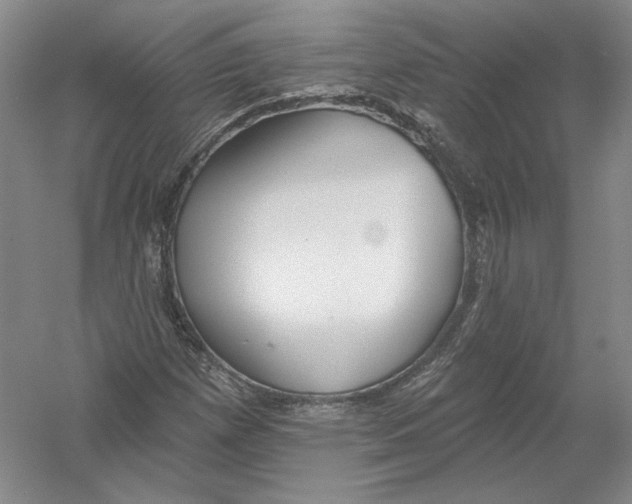 X0000054381257200508262358