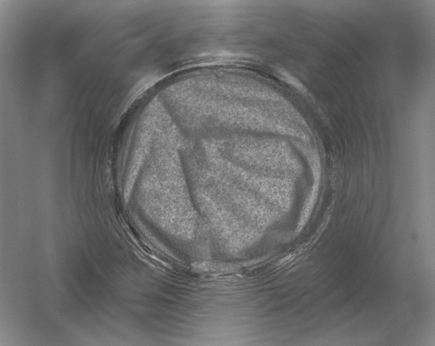 X0000054381259200508262358