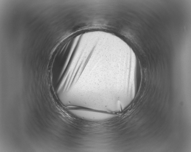 X0000054381260200508262358