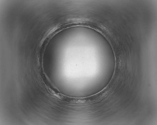 X0000054381261200508262358