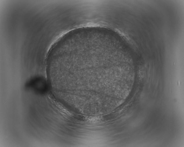 X0000054381262200508262358