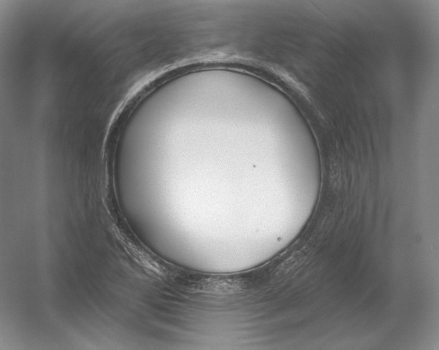 X0000054381270200508262358